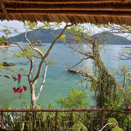 Auberge Le Maki Lodge Ampangorinana Bagian luar foto